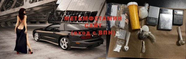 прущие грибы Новозыбков