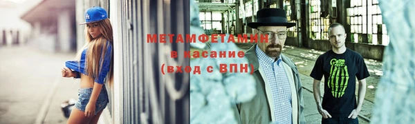 прущие грибы Новозыбков