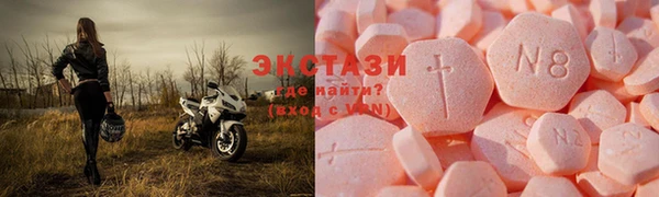 прущие грибы Новозыбков