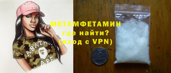 прущие грибы Новозыбков
