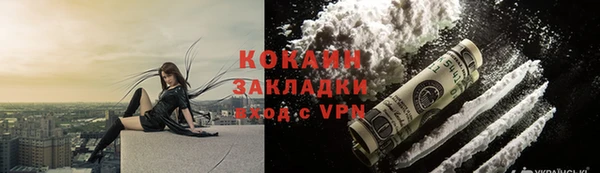 прущие грибы Новозыбков