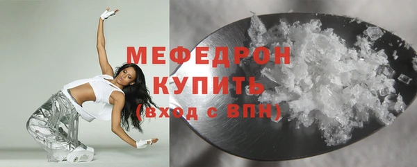 прущие грибы Новозыбков