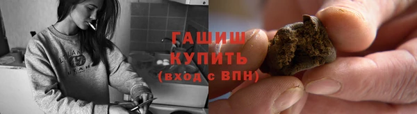 прущие грибы Новозыбков