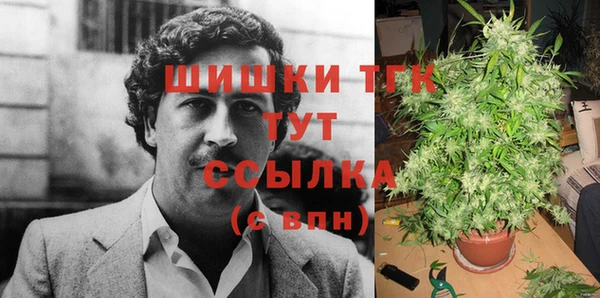прущие грибы Новозыбков