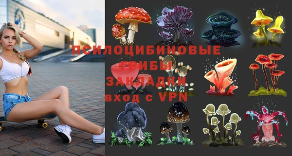 a pvp Новокубанск