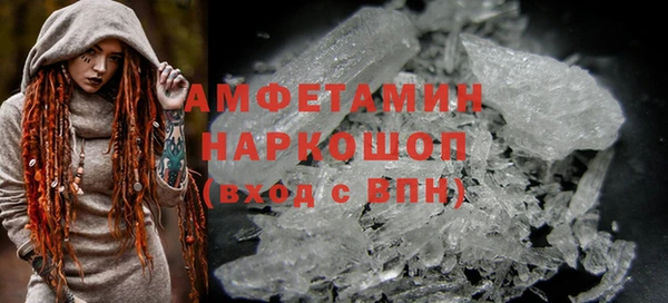 прущие грибы Новозыбков