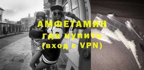 прущие грибы Новозыбков