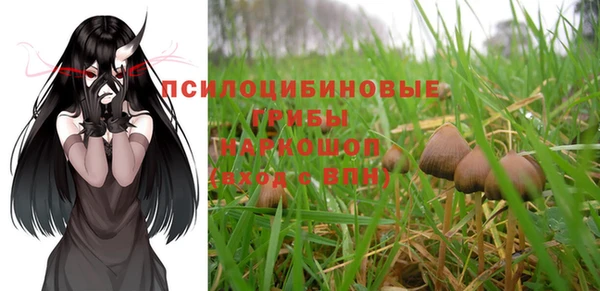 a pvp Новокубанск