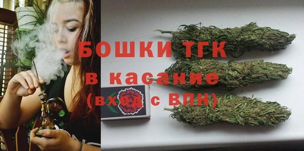 прущие грибы Новозыбков