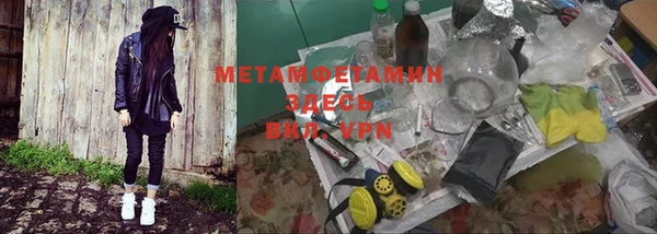 прущие грибы Новозыбков