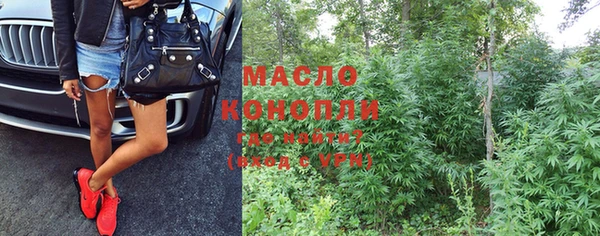 прущие грибы Новозыбков