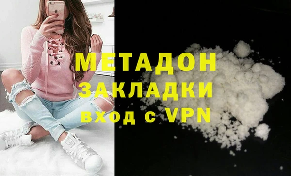прущие грибы Новозыбков