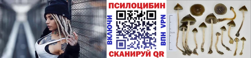 Псилоцибиновые грибы MAGIC MUSHROOMS  Купить закладки  Муравленко 